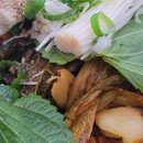 국물이그리울때 이미지