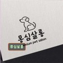 몽심살롱