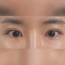 진접 속눈썹펌 하이제이 후기 쌍수 후 더 중요해진 속눈썹 컬 변화 (노글루펌)
