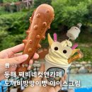동해 째비네컷앤카페 도깨비방망이빵 아이스크림 내돈내산 후기