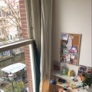 영어회화 왕초보 이미지