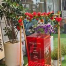 진아헤어샵 이미지