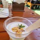 비젼목장 | 제914차 평신도를 위한 가정교회 세미나(2026.3.27-29) 후기