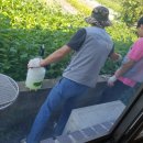 사천마을경로당 이미지