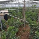 경미농장 이미지