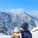 설악온천맘모스리조텔 이미지