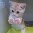 오피스마트 이미지