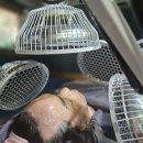 명동머드 이미지