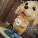 포포앤미루 강동점 이미지