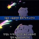 인생1년차