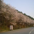 고동산주유소 이미지