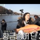 도시어부 이미지