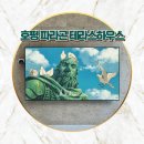 파라곤 풀빌라 | 남양주 호평 파라곤 테라스하우스 벽걸이티비 설치 플스 셋톱박스 매립 선정리 후기