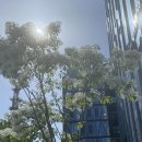 WR(인천광역시 서구)-[길주로]-하-43 | 2022 05 | my day