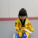 용인대청룡태권도전문도장 이미지