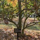 도음산 산림문화수련장 이미지