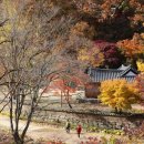 빨강공주 이미지