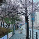 (주)아메리칸트레일러롯데몰진주점 | 집순이도 봄에는 나가고싶어
