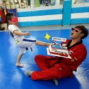 청출어람태권도장 | 태권도 케이크 / 어린이 케이크 / 유치원 생일케익 / 슈가베리