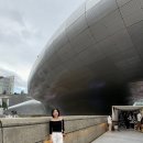 아프리카 | DDP 서울 아프리카 페스티벌 후기