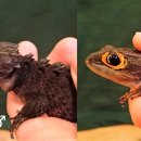 고유종농장 이미지