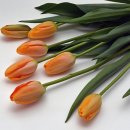 아름다운 반복 이미지