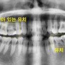 참잘하는치과의원 이미지