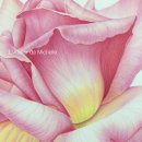 꽃그림 보타니컬아트 이미지