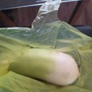 장호축산 이미지