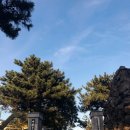 애월초등학교 병설유치원 이미지