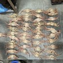 동해어업관리단 이미지