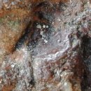 사면체집합 이미지