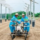 그린1호 태양광발전소 이미지