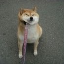 냠냠 - 강릉시 | 냠냠