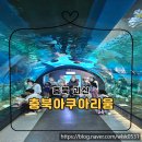 연하엽구름다리 | 충북 아쿠아리움 괴산 가볼 만한 곳으로 적극 추천