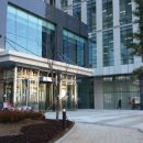 한미약품 건너편 이미지