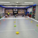 용인대 청당 태권도 이미지