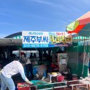 씨~월드 | 부산 기장 연화리 해녀촌 제주부씨 한씨할매 / 내돈내산 / 솔직 후기 / 롯데월드 불꽃축제