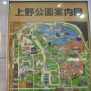 일본 동경여행(2).....우에노동물원과 아사쿠사 센소지.... 이미지