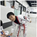 신나는태권도장 네이버블로그