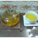 목련약국 Daum카페