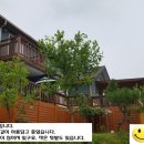 평사(여) 이미지