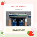 [거제정보]🛒 거제해금강농협 하나로마트 방문 후기! (feat. 어린이 카트)