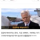 느그 집앞에 112빽차 사진 올려보라고 얼빵한 얼레발레 고삐리 범죄자새끼야 이미지