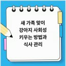 베이비몽 강아지분양 인천청라점 | 베이비몽 강아지분양 인천청라점에서 느낀 분양 준비의 중요성
