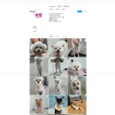 아띠댕댕 네이버블로그