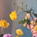 센트럽잇 - 광양시 사동로 2 | 센트럽잇