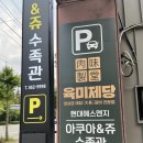 아쿠아앤쥬 | 광주 수족관 [아쿠아앤쥬] 에서 비바리움, 팔루다리움, 베타 구경하기