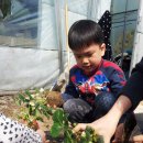 신계농장 이미지