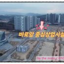 새씨앗약국 이미지